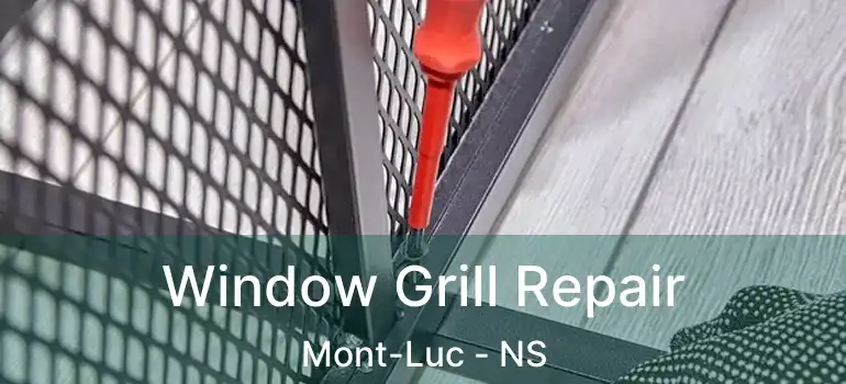  Window Grill Repair Mont-Luc - NS