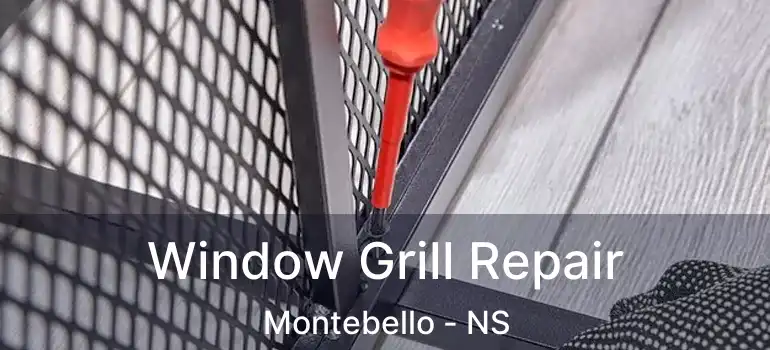  Window Grill Repair Montebello - NS