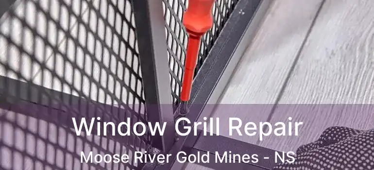  Window Grill Repair Moose River Gold Mines - NS