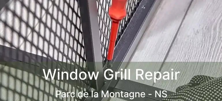  Window Grill Repair Parc de la Montagne - NS