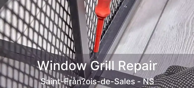  Window Grill Repair Saint-Fran?ois-de-Sales - NS