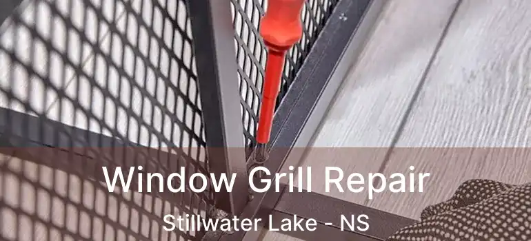  Window Grill Repair Stillwater Lake - NS