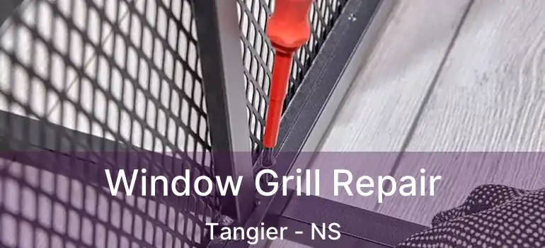  Window Grill Repair Tangier - NS