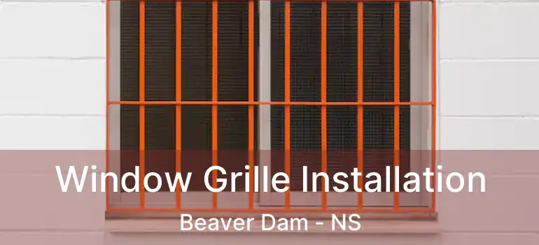  Window Grille Installation Beaver Dam - NS