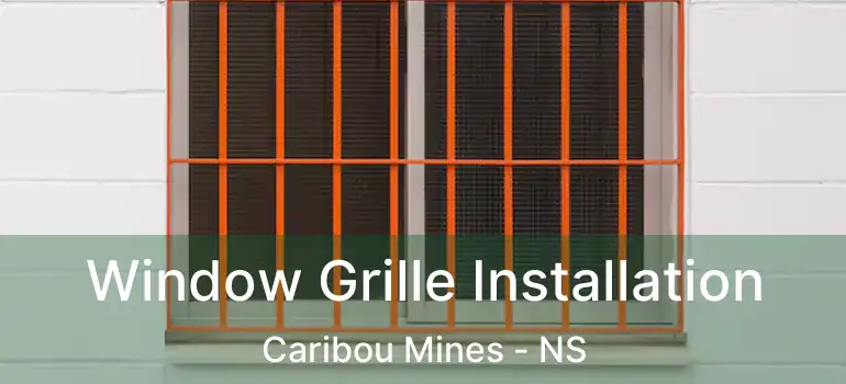  Window Grille Installation Caribou Mines - NS