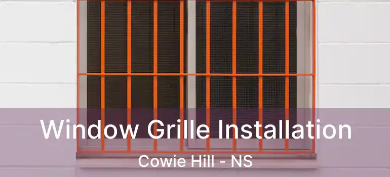  Window Grille Installation Cowie Hill - NS