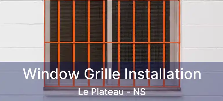  Window Grille Installation Le Plateau - NS