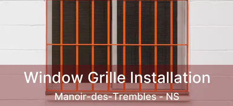  Window Grille Installation Manoir-des-Trembles - NS