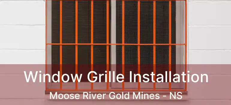  Window Grille Installation Moose River Gold Mines - NS