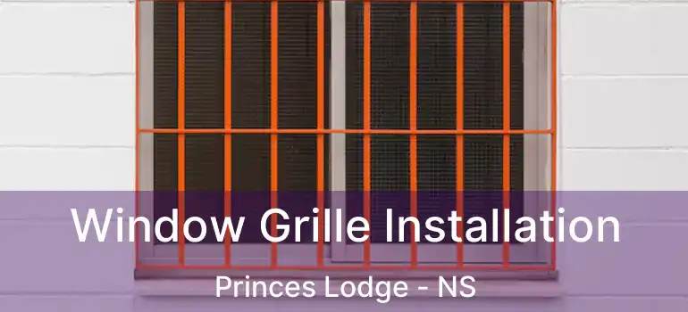  Window Grille Installation Princes Lodge - NS