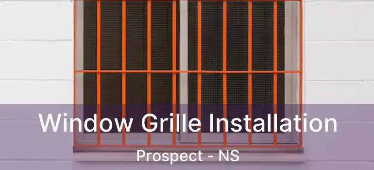  Window Grille Installation Prospect - NS