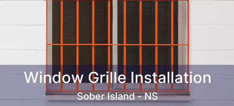  Window Grille Installation Sober Island - NS