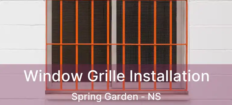  Window Grille Installation Spring Garden - NS