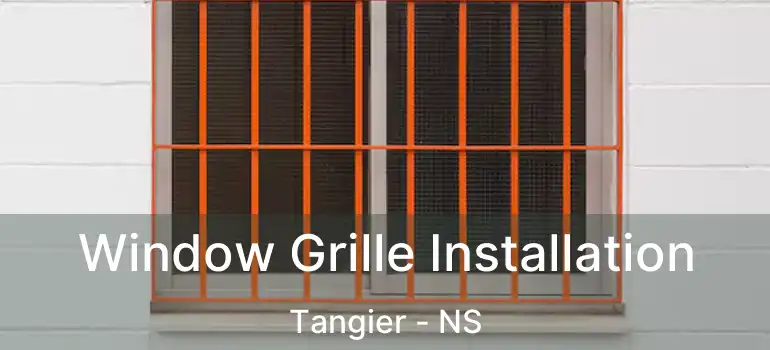  Window Grille Installation Tangier - NS