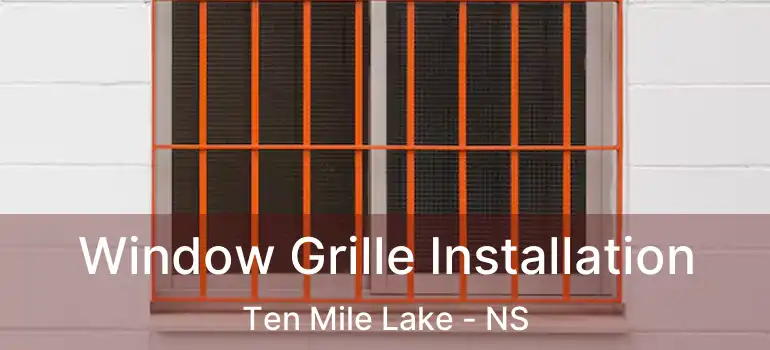  Window Grille Installation Ten Mile Lake - NS