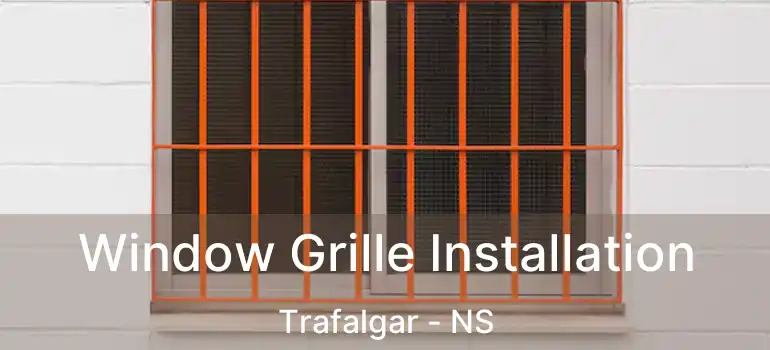  Window Grille Installation Trafalgar - NS