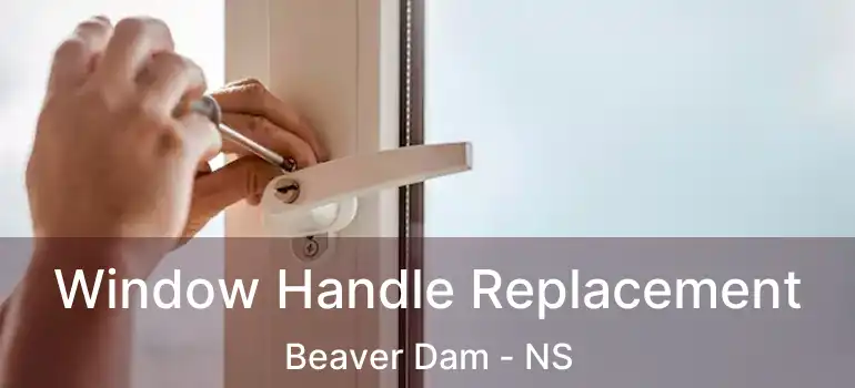  Window Handle Replacement Beaver Dam - NS