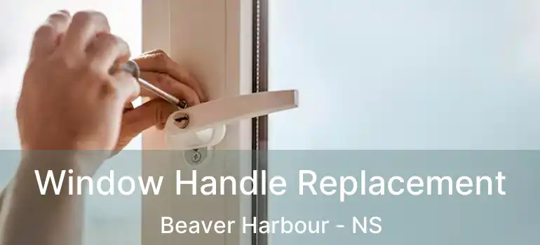  Window Handle Replacement Beaver Harbour - NS