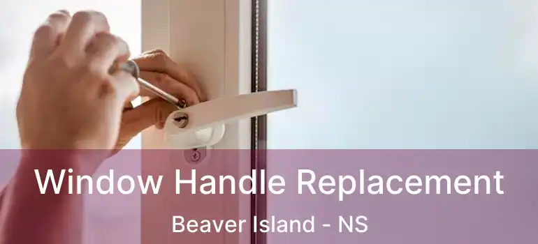  Window Handle Replacement Beaver Island - NS