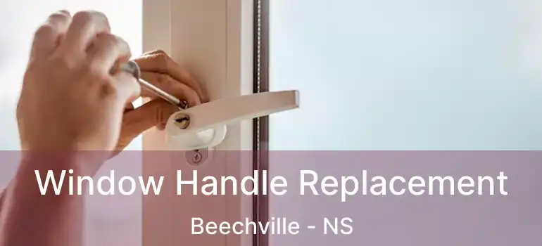  Window Handle Replacement Beechville - NS