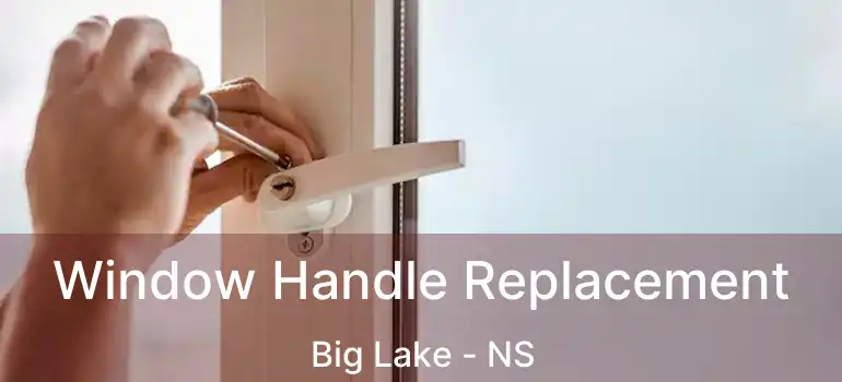  Window Handle Replacement Big Lake - NS