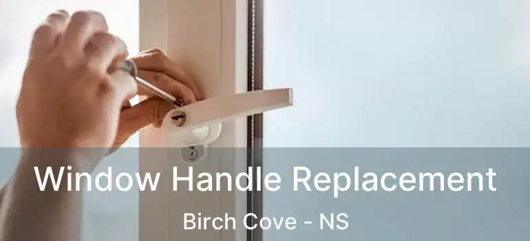  Window Handle Replacement Birch Cove - NS