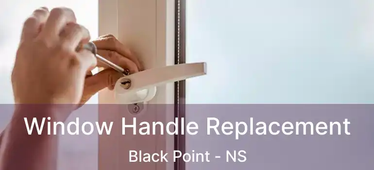  Window Handle Replacement Black Point - NS