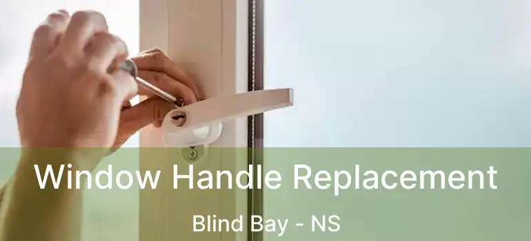  Window Handle Replacement Blind Bay - NS