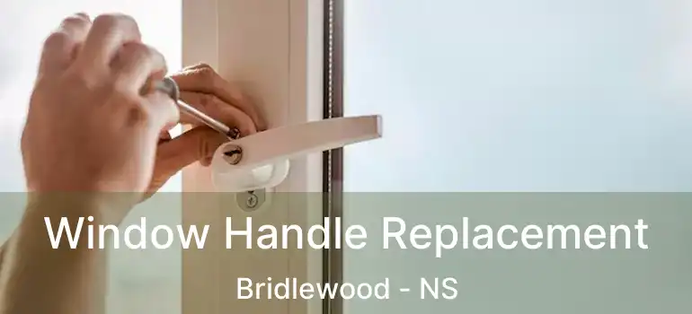  Window Handle Replacement Bridlewood - NS