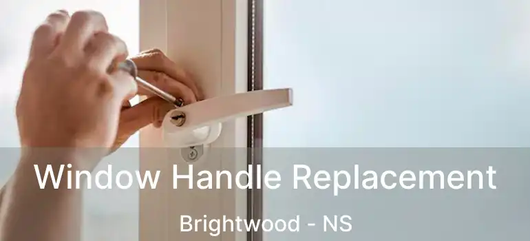  Window Handle Replacement Brightwood - NS