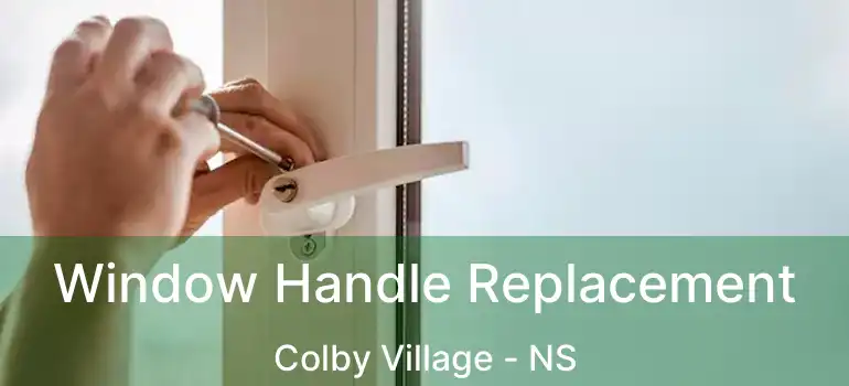  Window Handle Replacement Colby Village - NS