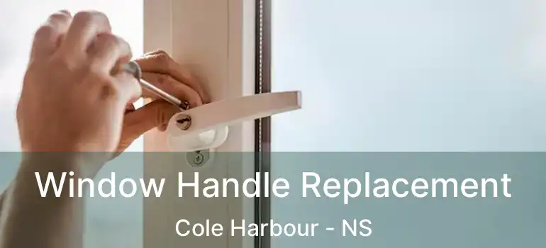  Window Handle Replacement Cole Harbour - NS