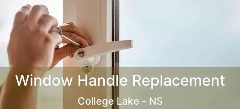  Window Handle Replacement College Lake - NS