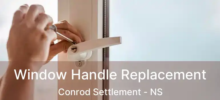  Window Handle Replacement Conrod Settlement - NS