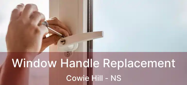  Window Handle Replacement Cowie Hill - NS