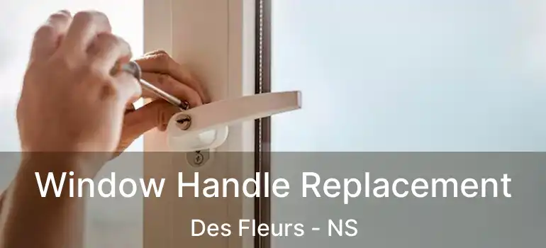  Window Handle Replacement Des Fleurs - NS