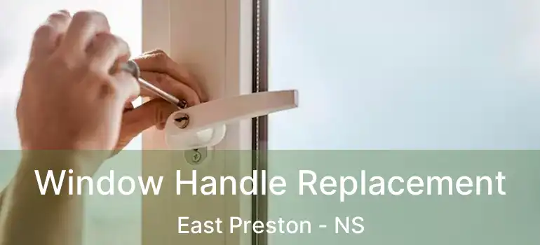  Window Handle Replacement East Preston - NS