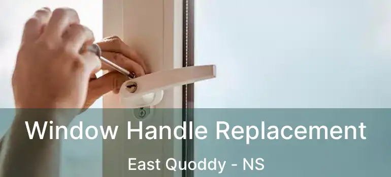  Window Handle Replacement East Quoddy - NS