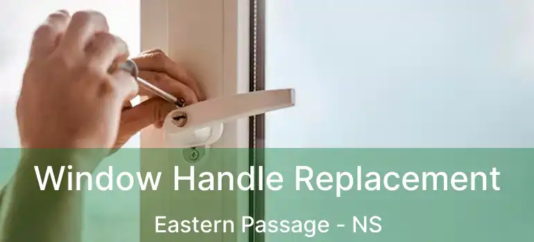  Window Handle Replacement Eastern Passage - NS