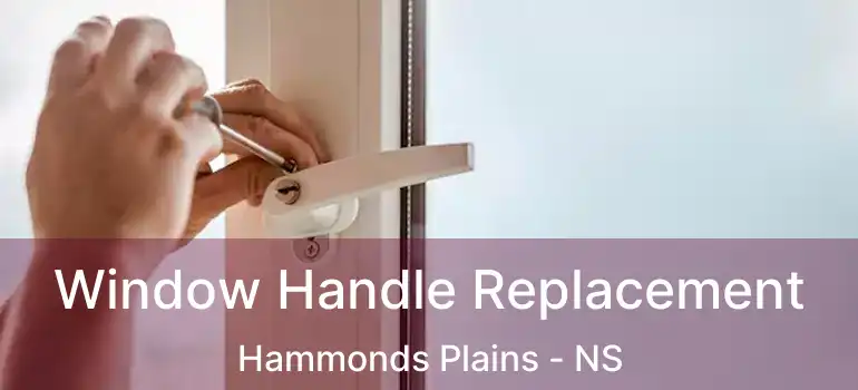  Window Handle Replacement Hammonds Plains - NS