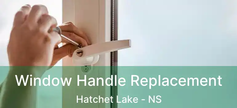  Window Handle Replacement Hatchet Lake - NS