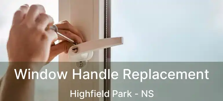  Window Handle Replacement Highfield Park - NS