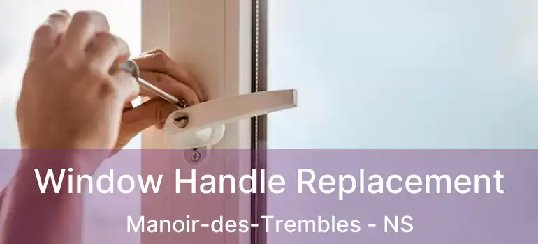  Window Handle Replacement Manoir-des-Trembles - NS