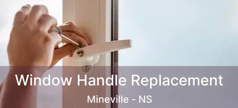  Window Handle Replacement Mineville - NS