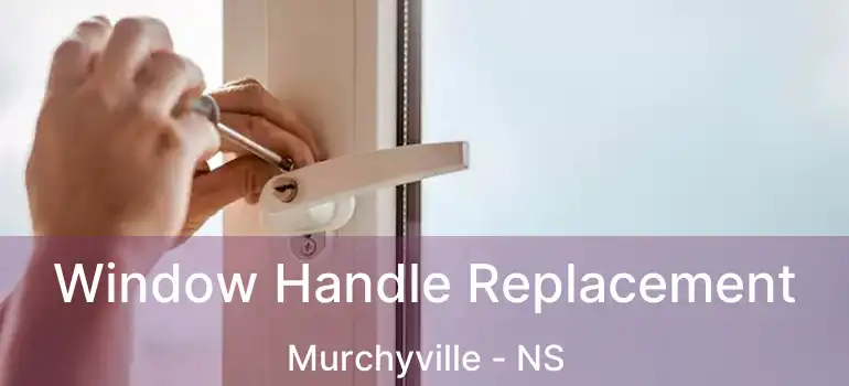  Window Handle Replacement Murchyville - NS