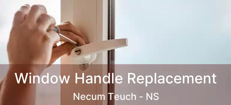  Window Handle Replacement Necum Teuch - NS