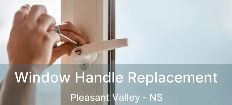  Window Handle Replacement Pleasant Valley - NS