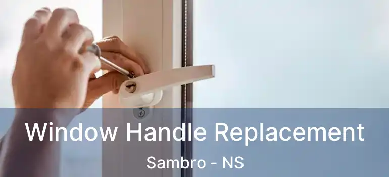  Window Handle Replacement Sambro - NS