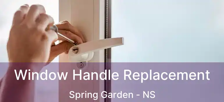  Window Handle Replacement Spring Garden - NS