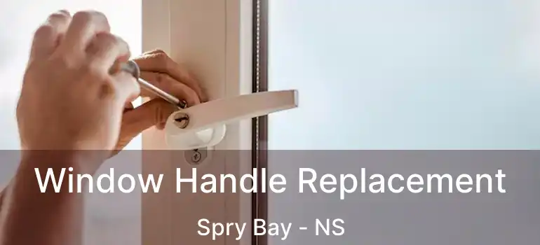  Window Handle Replacement Spry Bay - NS